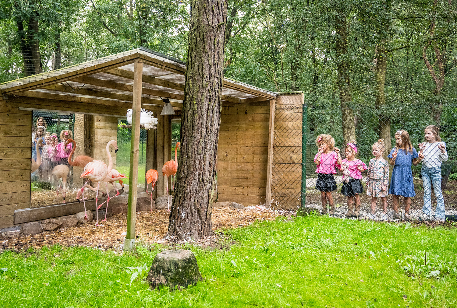 Vakantiepark Noord Brabant kindvriendelijk dieren natuur