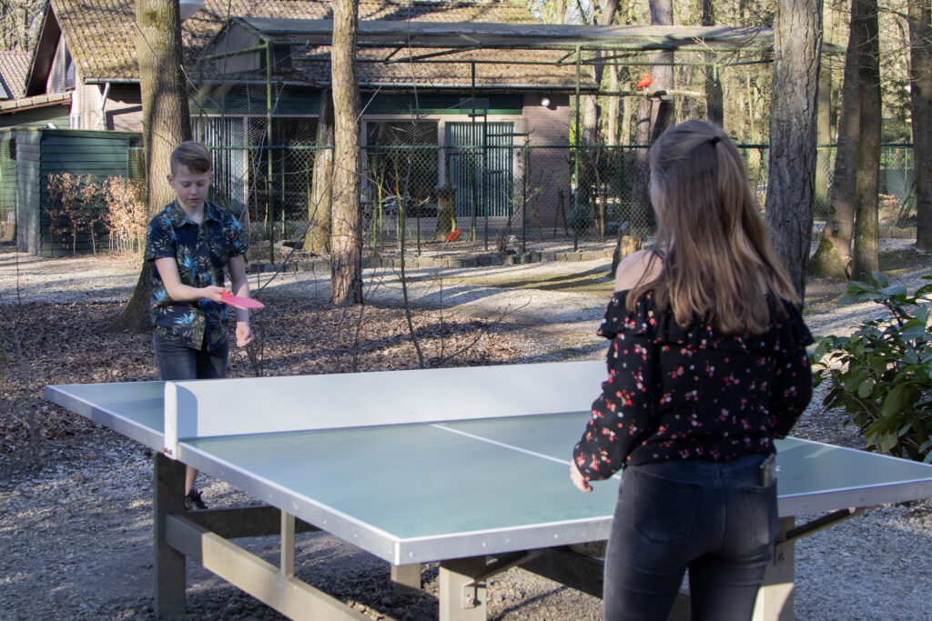 tafeltennis vakantiepark Brabant