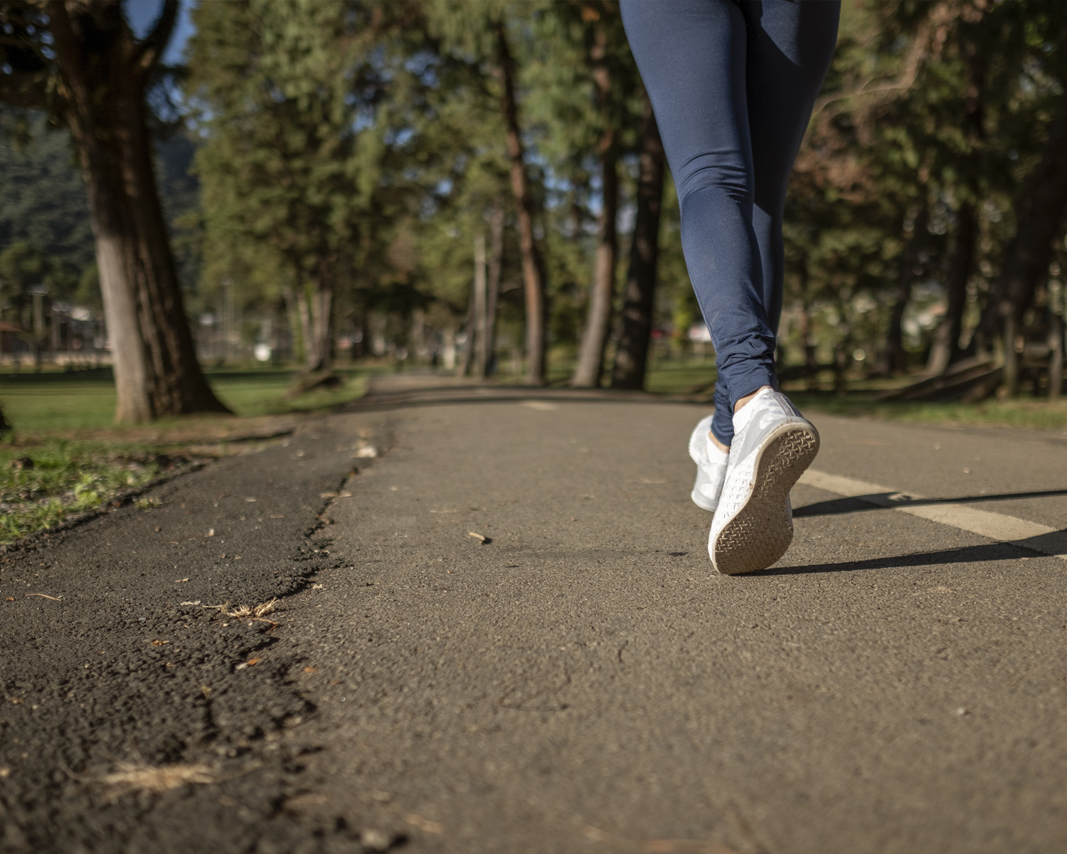 Hardlopen De Maashorst Bedafse Bergen hardlooproutes vakantiepark Zevenbergen