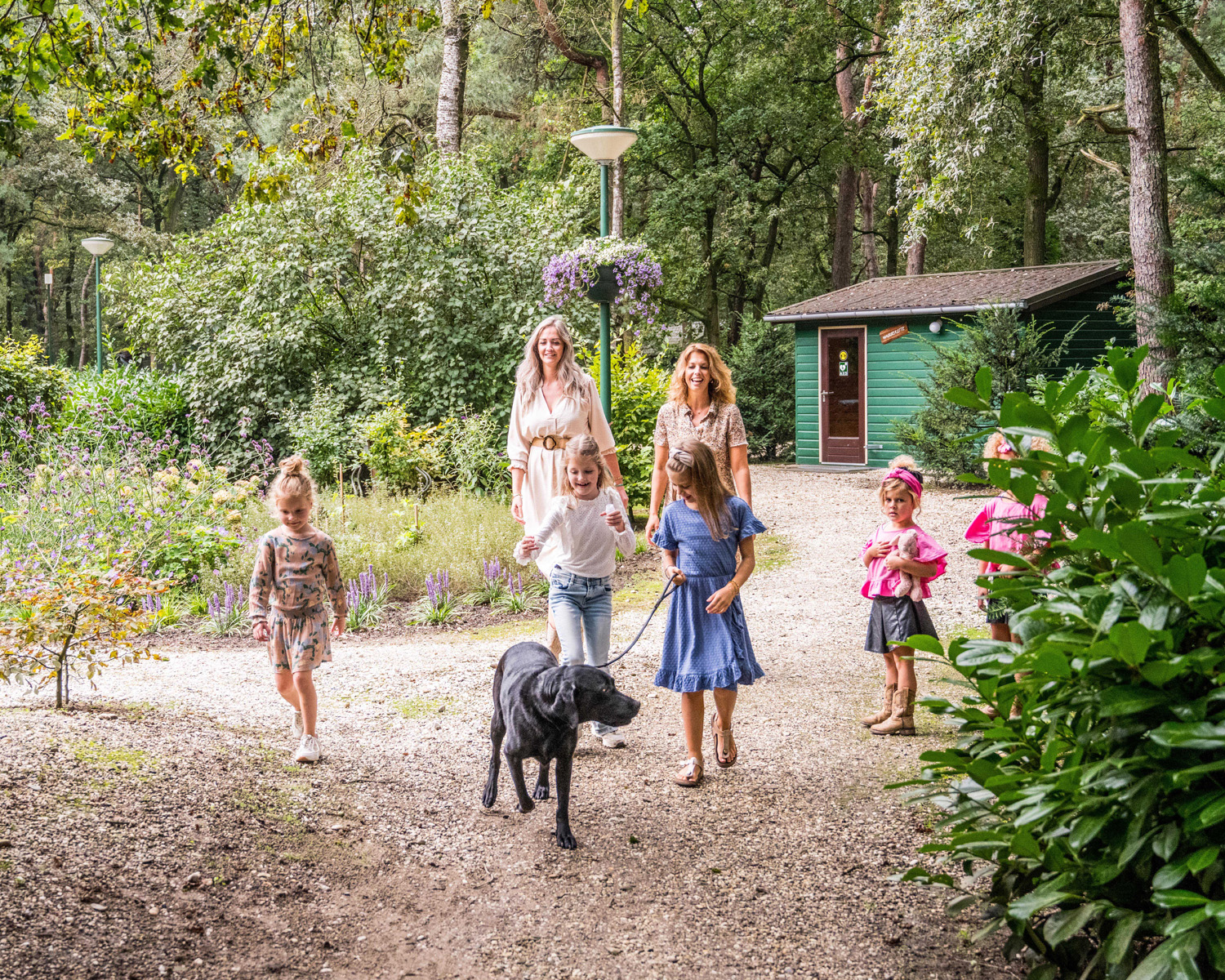 dagtochten en korte wandelingen brabant vakantiepark zwevenbergen