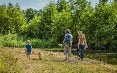 Ontdek de schoonheid van langeafstandswandelingen vanuit Vakantiepark Zevenbergen in Heesch