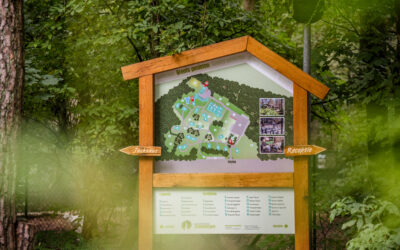 Kom de lente heerlijk beleven in Noord-Brabant