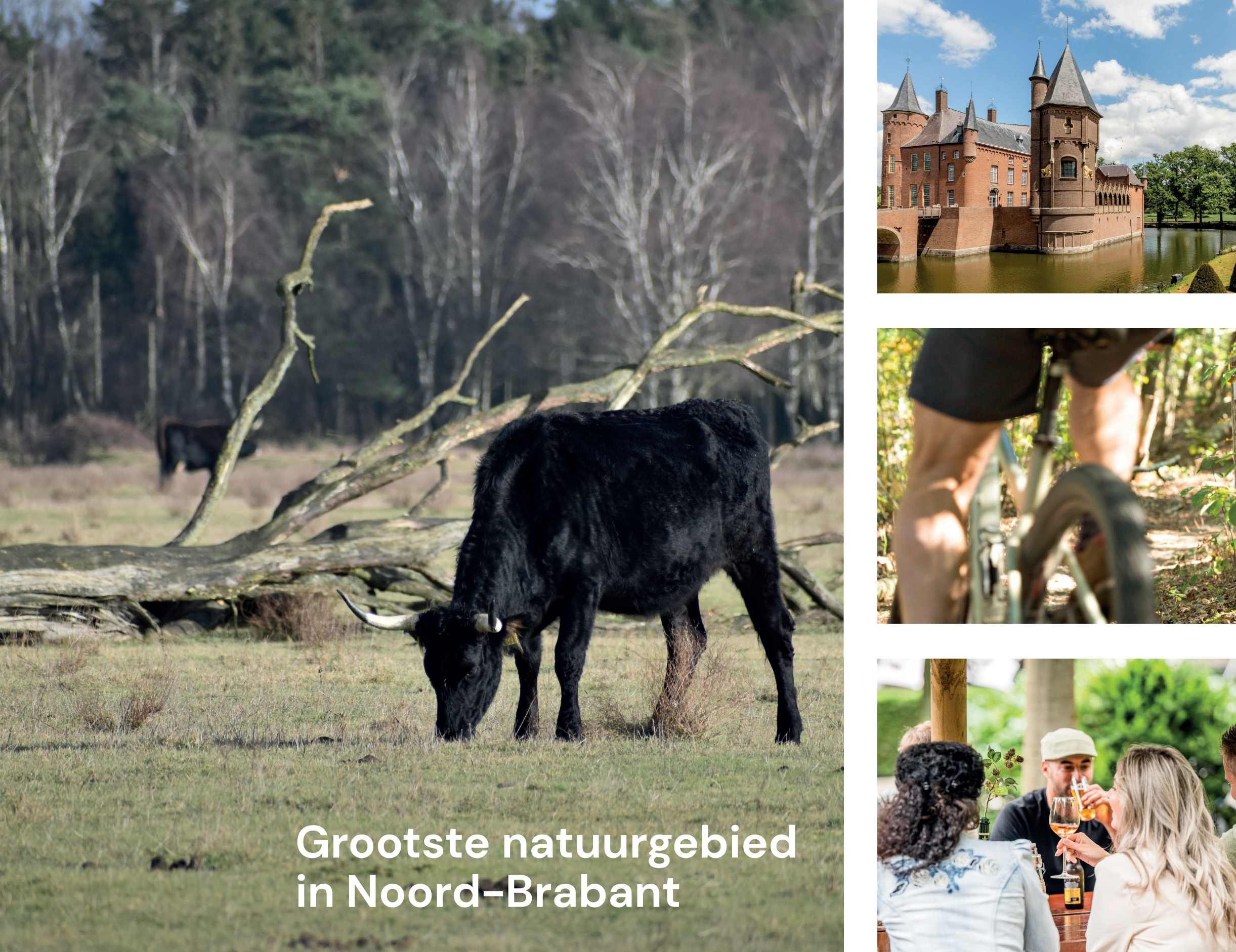 <br />
Grootste natuurgebied in Noord Brabant