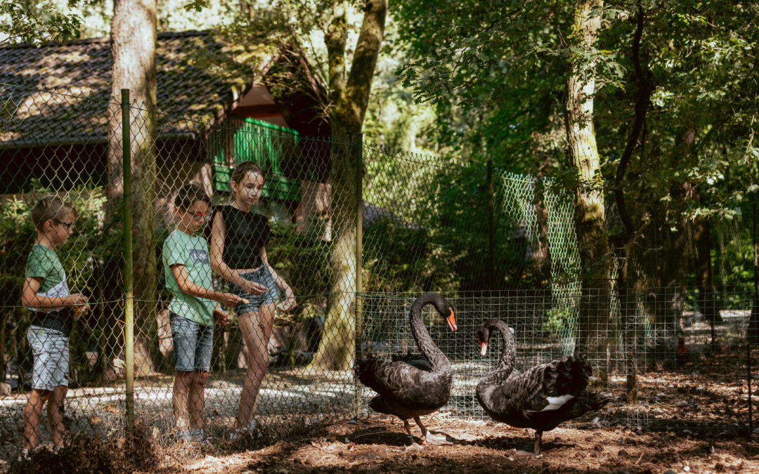 Ontdek de lente op Vakantiepark Zevenbergen