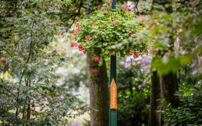 Vier jouw vakantie tussen kleur, geur en groen