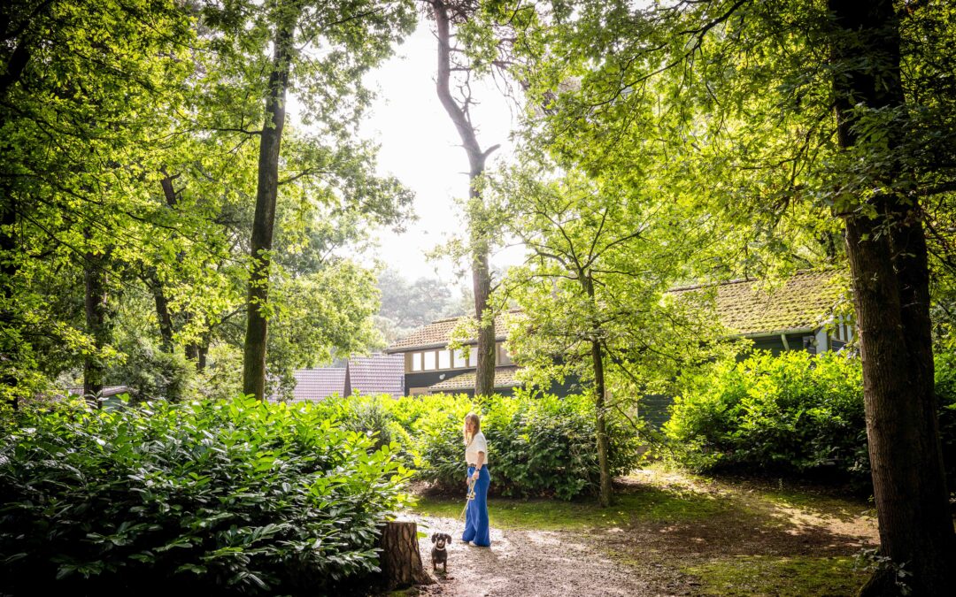 Beleef de herfstpracht in De Maashorst