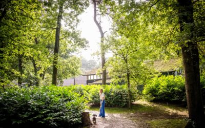 Beleef de herfstpracht in De Maashorst