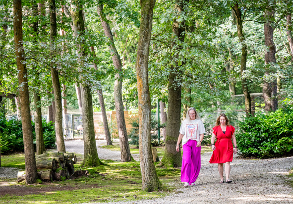 1 Hoge Heide wandelen in Noord Oost Brabant