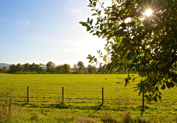 1 Nistelrode Golfbaan wandelroute Noord Brabant