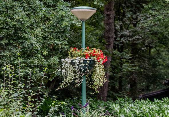 3 Hoge Heide wandelen in Noord Oost Brabant