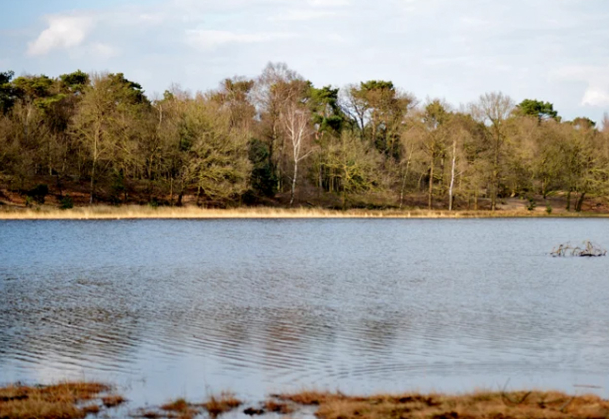 Ganzenven Berheze wandelroute Noord Brabant-1