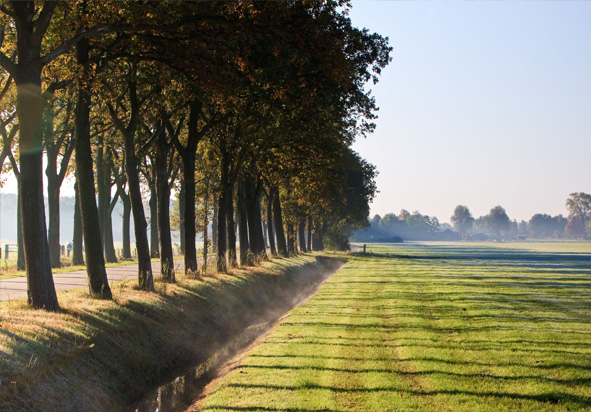 2 natuur Uden Bernheze wandelroute Noord Brabant-1