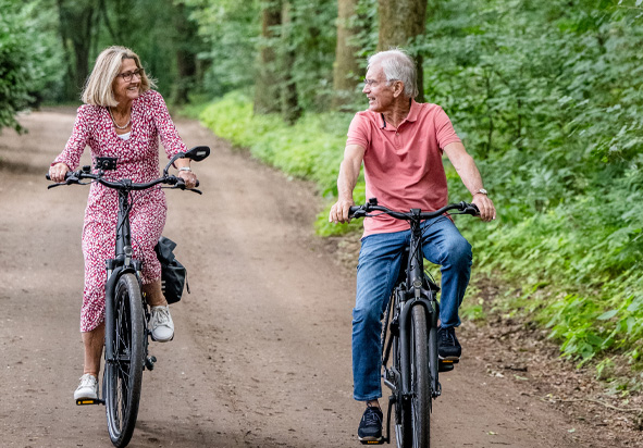 3 Molens Bernheze fietsroute Noord Brabant-1
