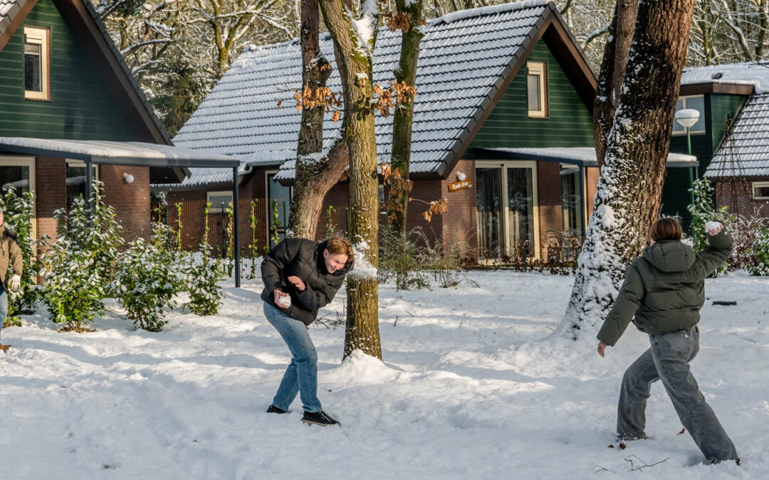 Het nieuwe jaar begint in de natuur: winterverblijf op Vakantiepark Zevenbergen