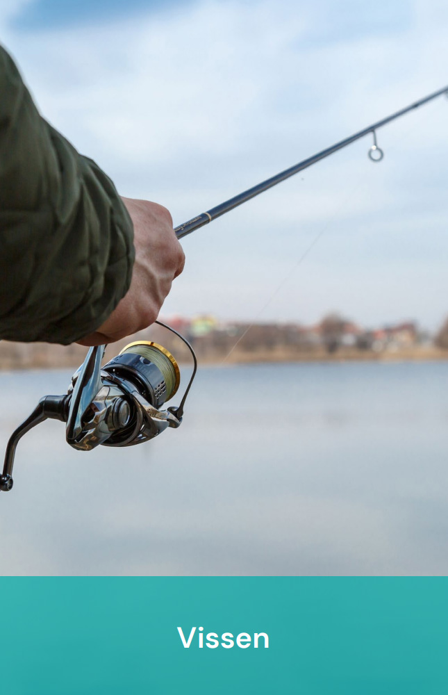 Vissen bij Vakantiepark Zevenbergen