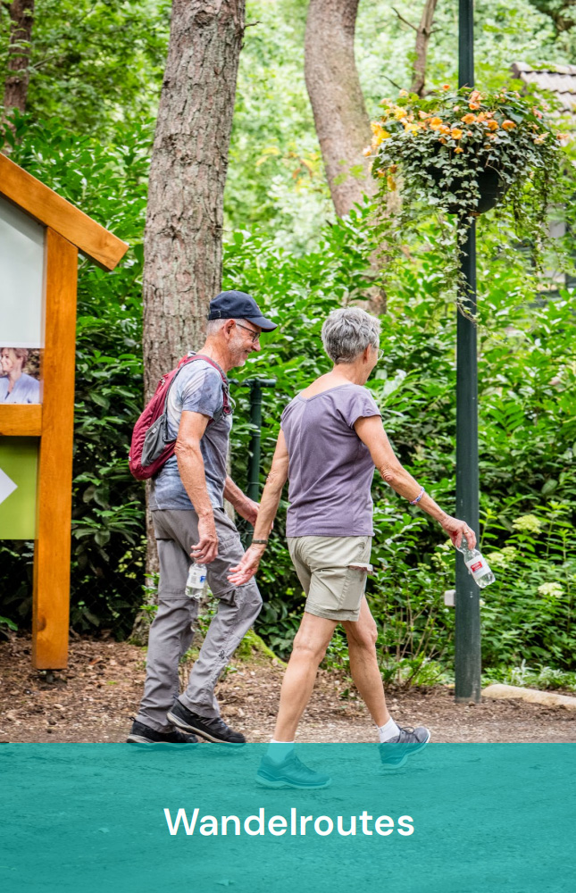Wandelroutes bij Vakantiepark Zevenbergen