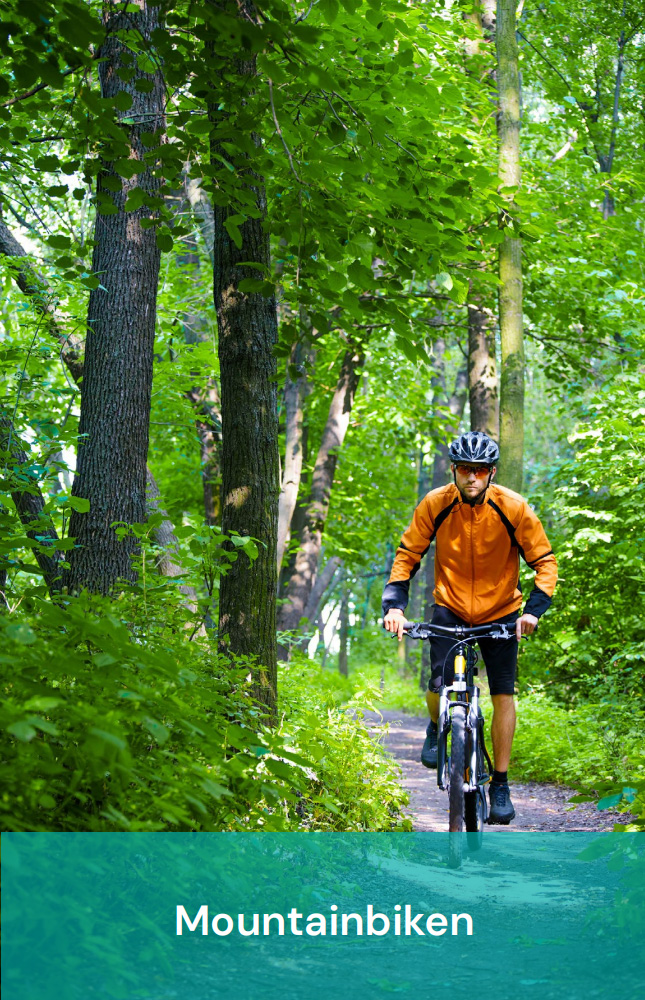 Mountainbiken bij Vakantiepark Zevenbergen