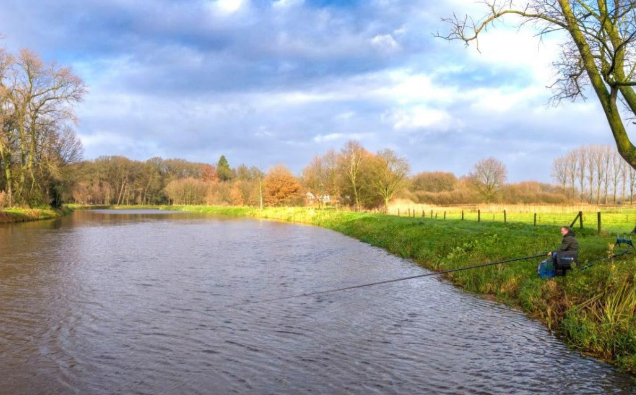 Vissen Waterschap De Dommel