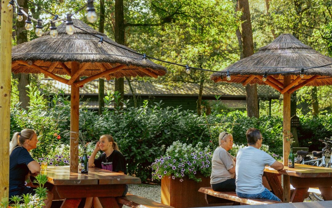Ontdek het verborgen vakantieparadijs van Brabant