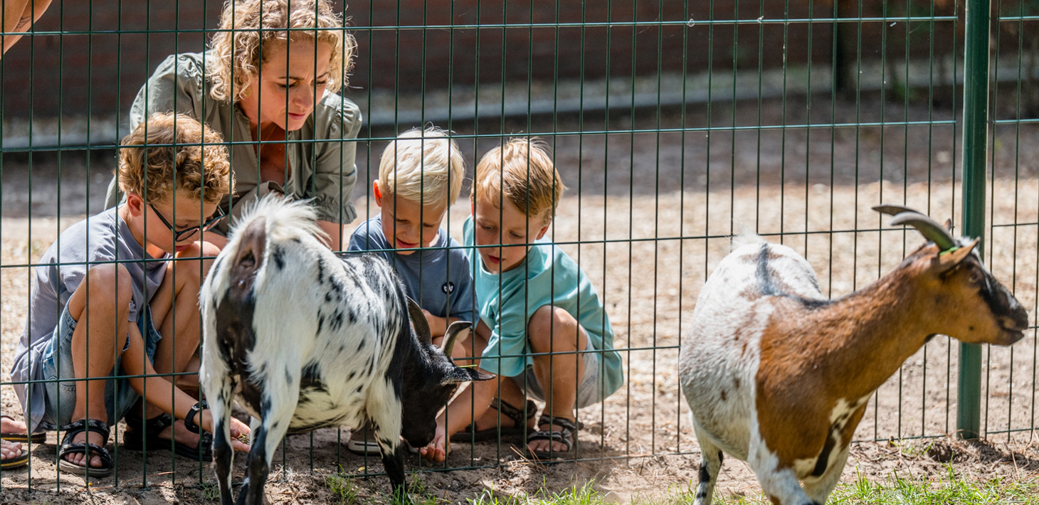 Dieren kinderen Vakantiepark Zevenbergen