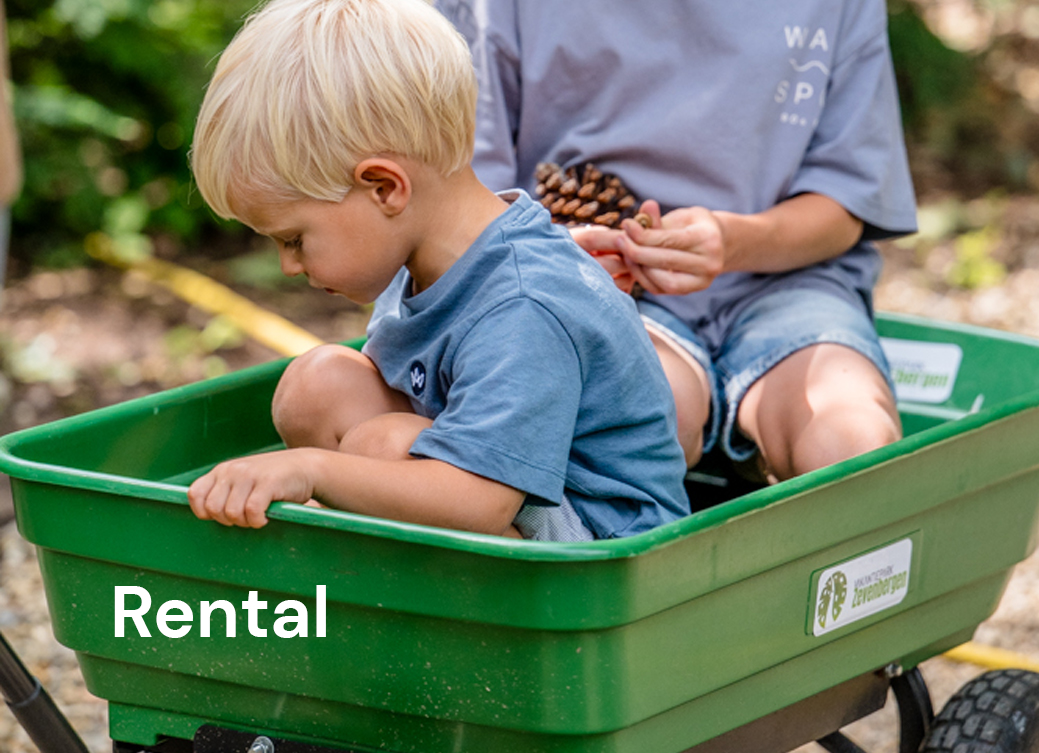 Rental Rental
