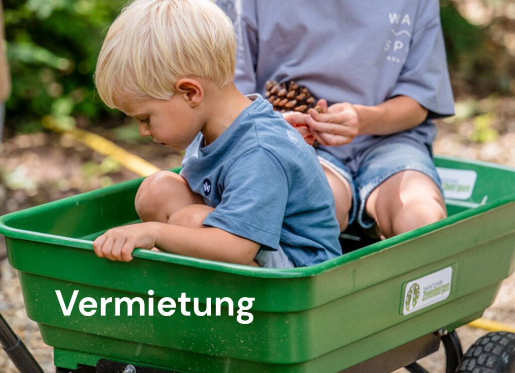 Vermietung